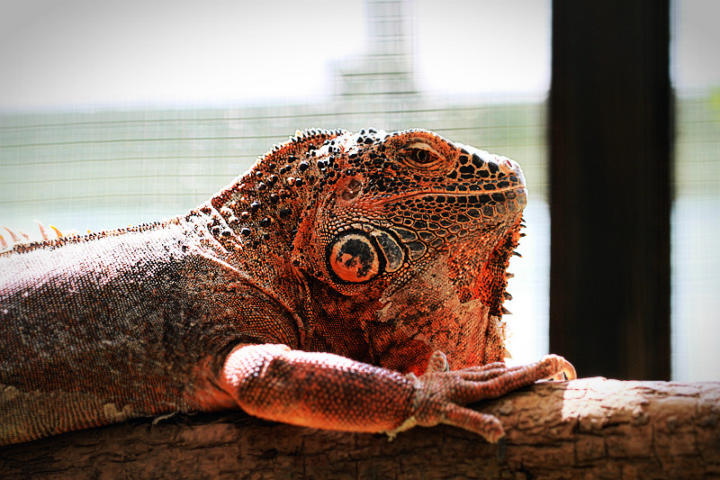 北京植物园~~~~~~~~~~~~~~