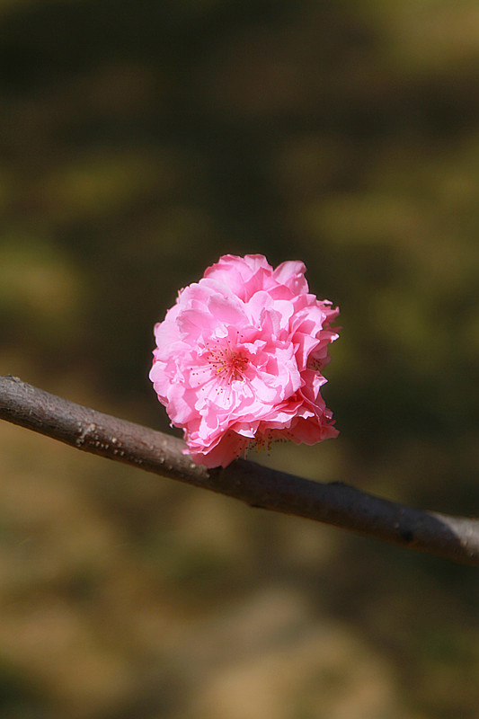 北京植物园~~~~~~~~~~~~~~