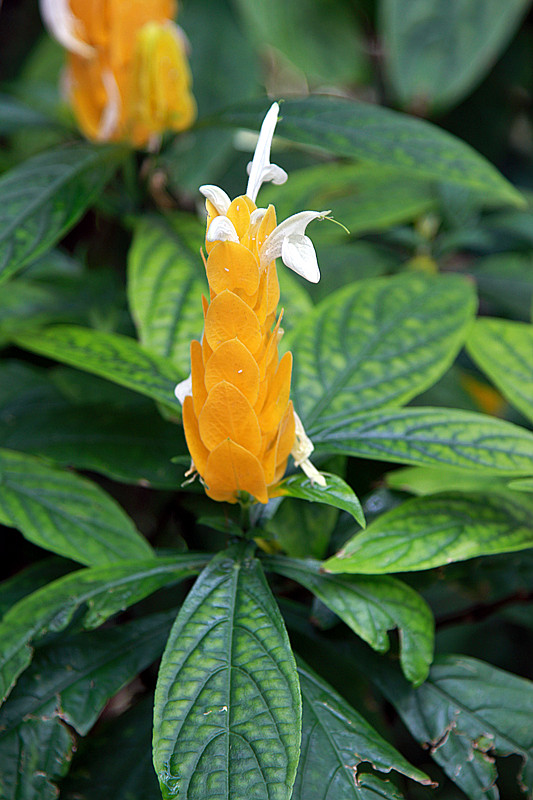 北京植物园~~~~~~~~~~~~~~