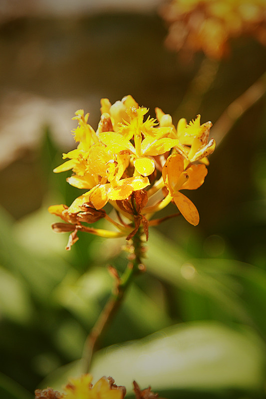 北京植物园~~~~~~~~~~~~~~