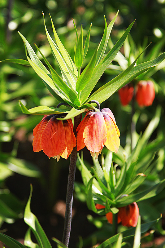 北京植物园~~~~~~~~~~~~~~
