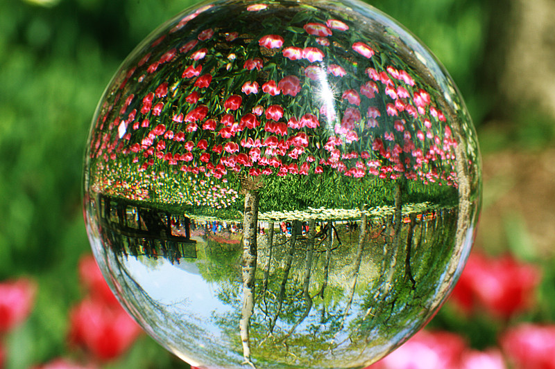 北京植物园~~~~~~~~~~~~~~