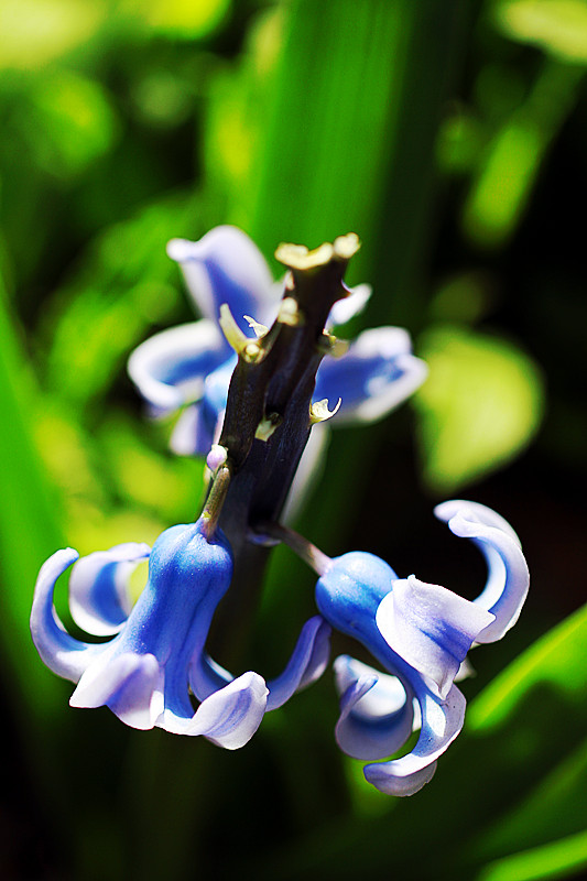 北京植物园~~~~~~~~~~~~~~