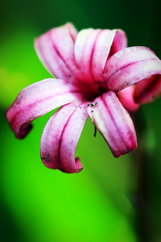 北京植物园~~~~~~~~~~~~~~