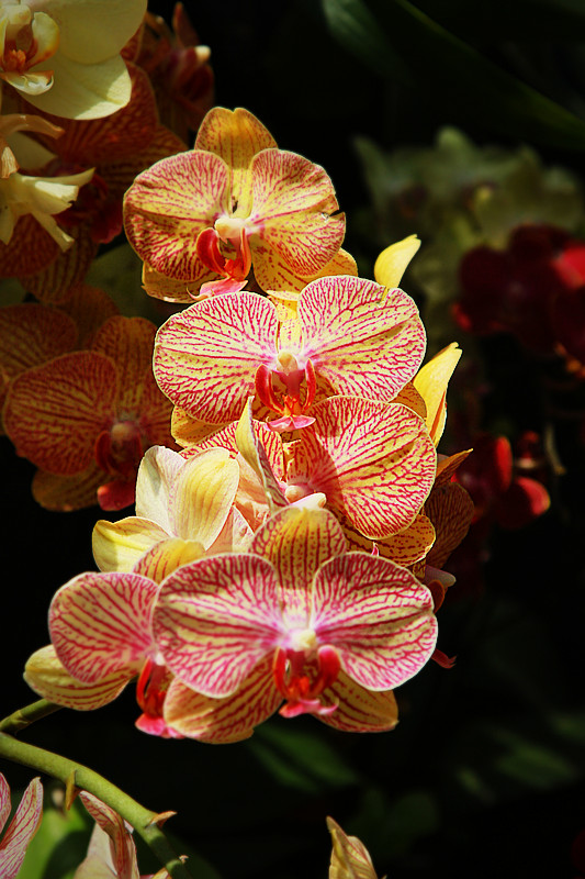 北京植物园~~~~~~~~~~~~~~