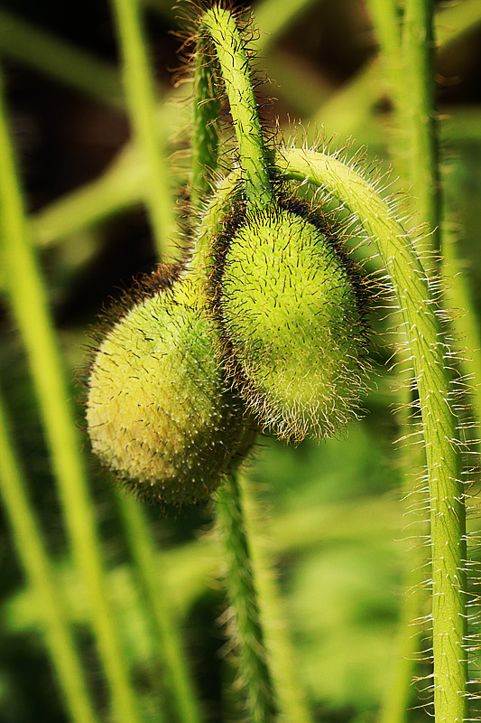 北京植物园~~~~~~~~~~~~~~