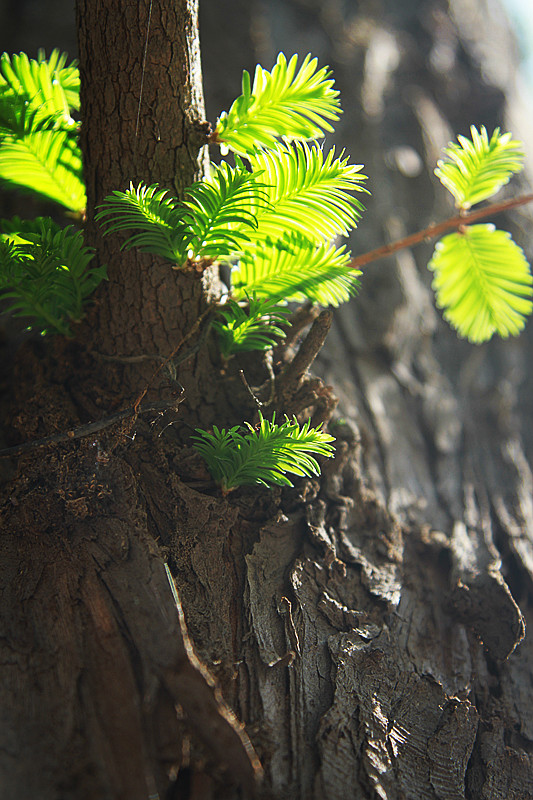 北京植物园~~~~~~~~~~~~~~
