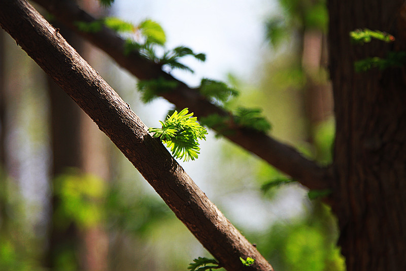北京植物园~~~~~~~~~~~~~~