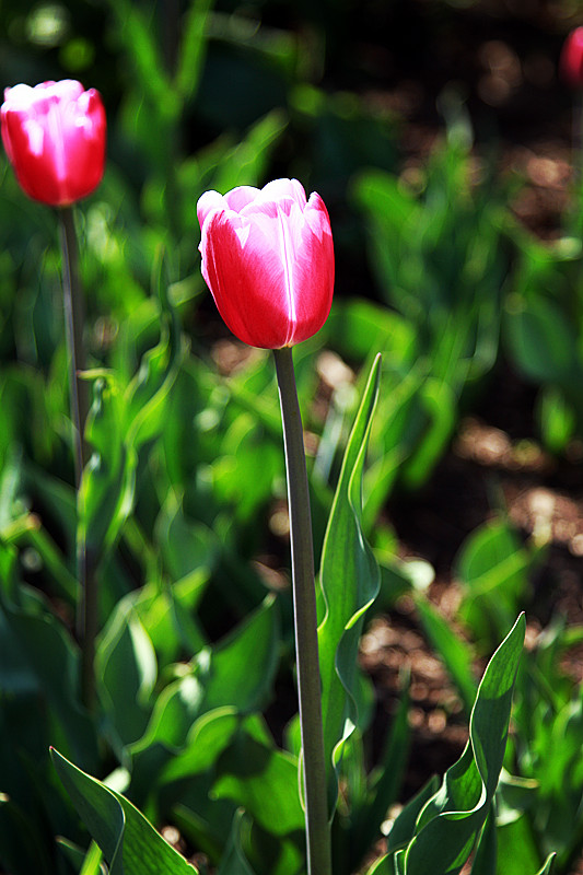 北京植物园~~~~~~~~~~~~~~