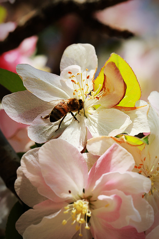 北京植物园~~~~~~~~~~~~~~