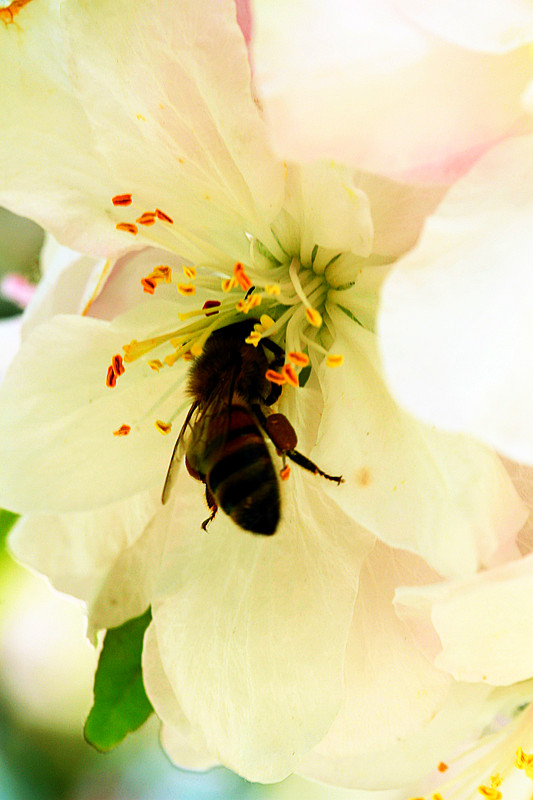 北京植物园~~~~~~~~~~~~~~