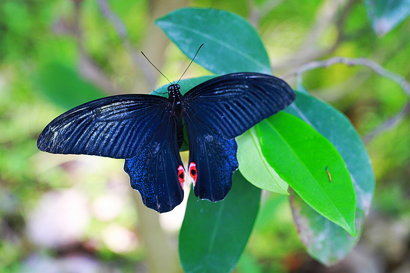北京植物园~~~~~~~~~~~~~~