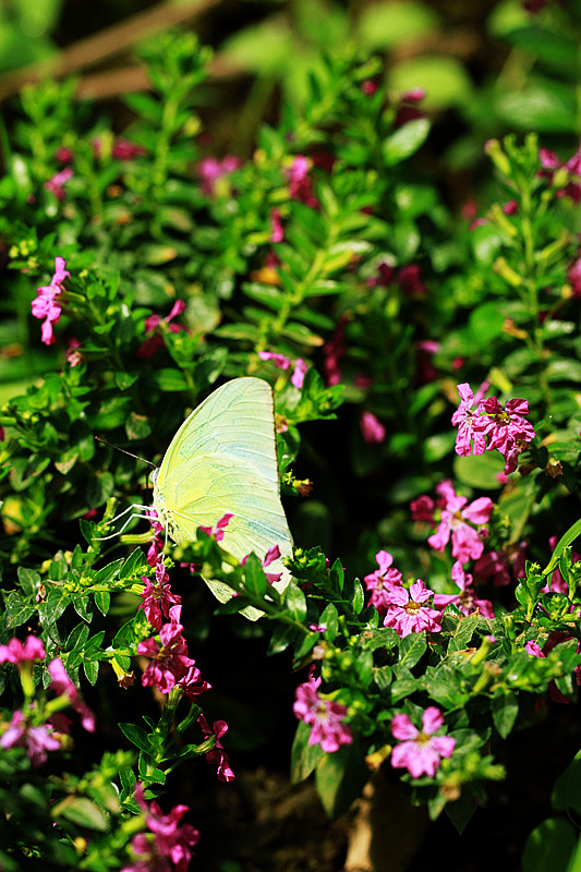 北京植物园~~~~~~~~~~~~~~