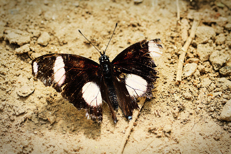 北京植物园~~~~~~~~~~~~~~