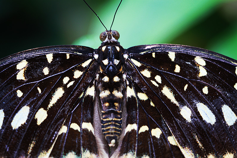北京植物园~~~~~~~~~~~~~~