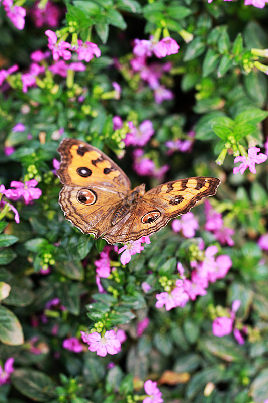 北京植物园~~~~~~~~~~~~~~