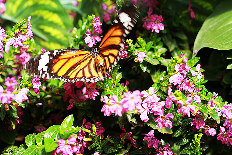 北京植物园~~~~~~~~~~~~~~