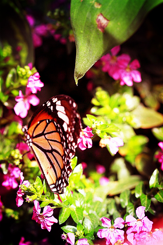 北京植物园~~~~~~~~~~~~~~