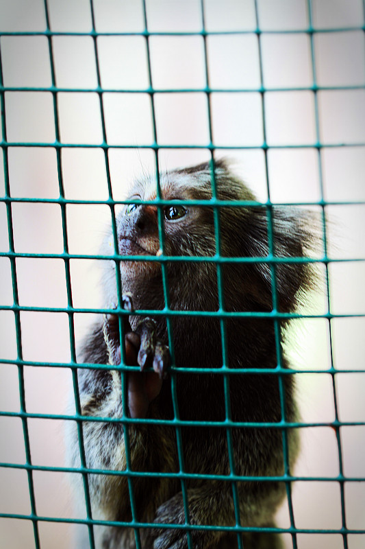 北京植物园~~~~~~~~~~~~~~