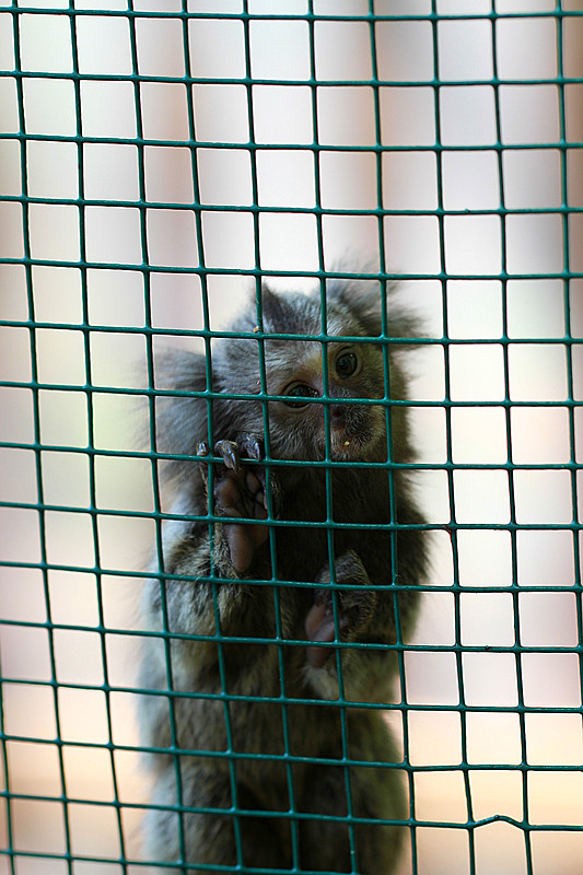 北京植物园~~~~~~~~~~~~~~