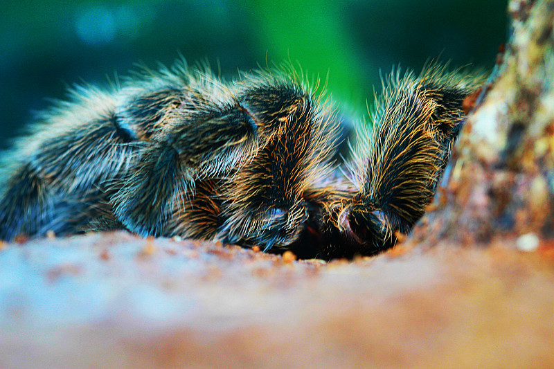 北京植物园~~~~~~~~~~~~~~