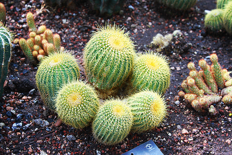 北京植物园~~~~~~~~~~~~~~