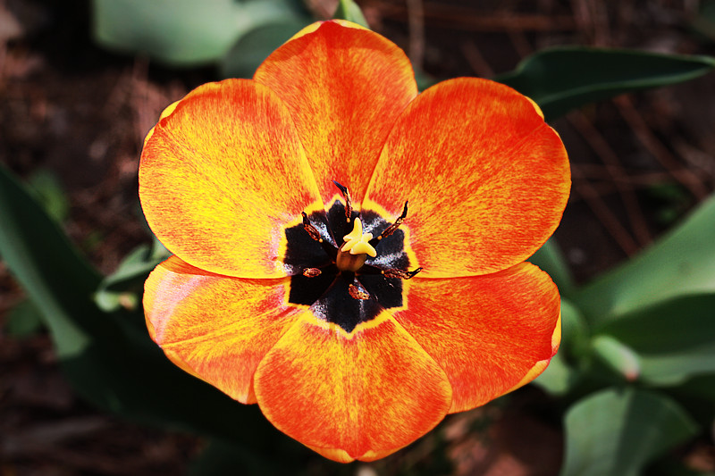 北京植物园~~~~~~~~~~~~~~