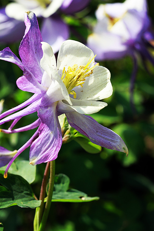 北京植物园~~~~~~~~~~~~~~
