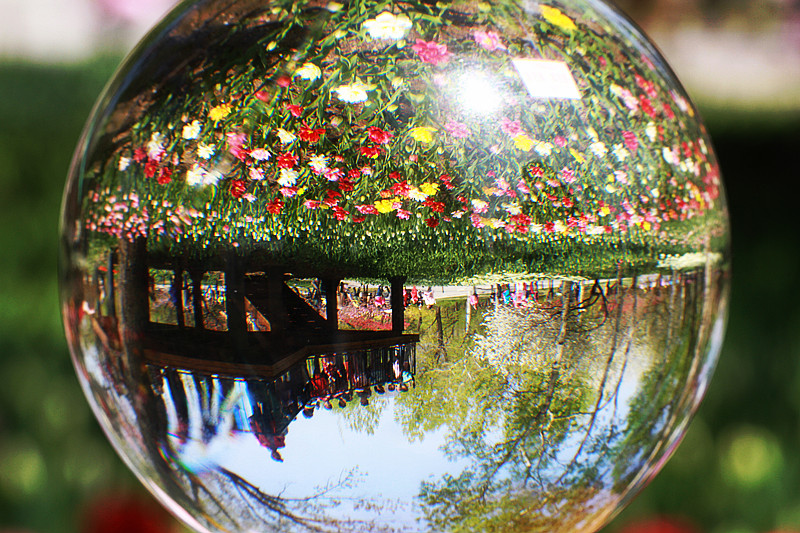 北京植物园~~~~~~~~~~~~~~