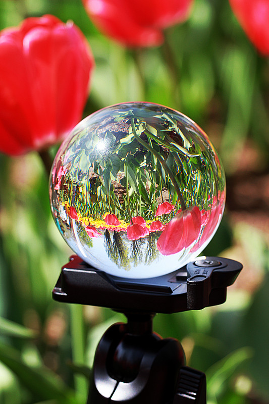 北京植物园~~~~~~~~~~~~~~