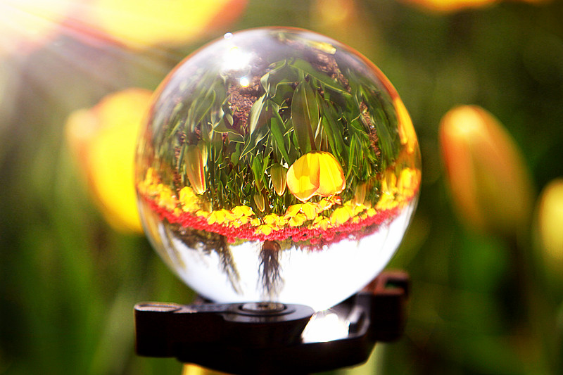 北京植物园~~~~~~~~~~~~~~