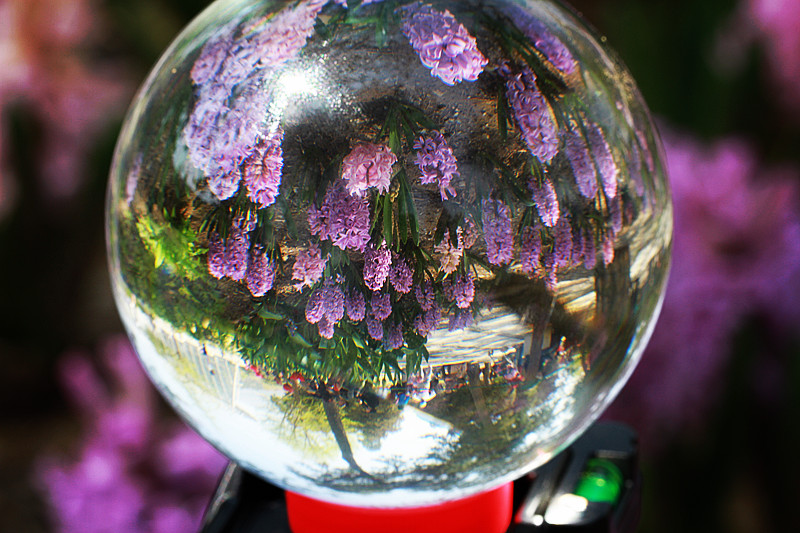 北京植物园~~~~~~~~~~~~~~