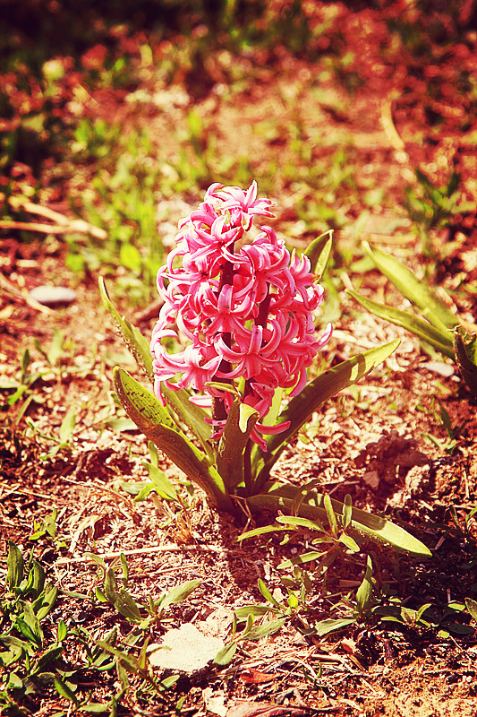 北京植物园~~~~~~~~~~~~~~