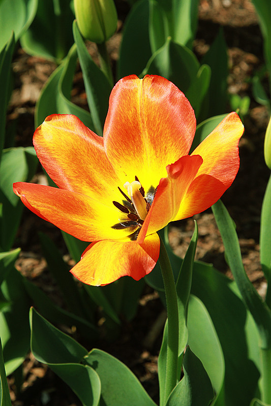 北京植物园~~~~~~~~~~~~~~