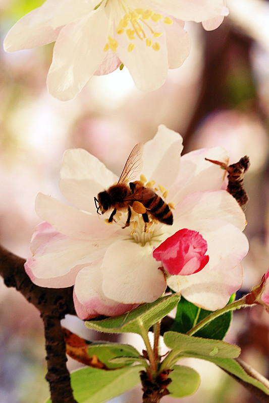 北京植物园~~~~~~~~~~~~~~