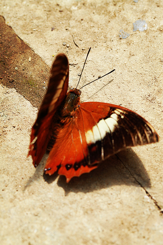 北京植物园~~~~~~~~~~~~~~