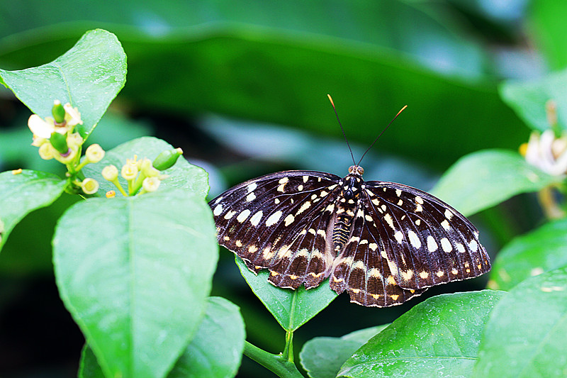 北京植物园~~~~~~~~~~~~~~