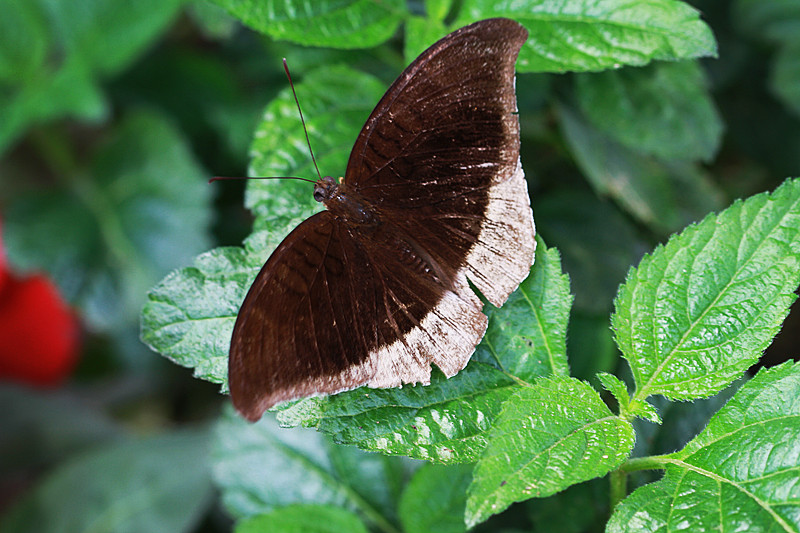 北京植物园~~~~~~~~~~~~~~