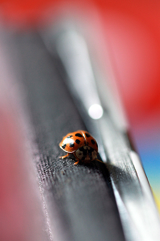 北京植物园~~~~~~~~~~~~~~