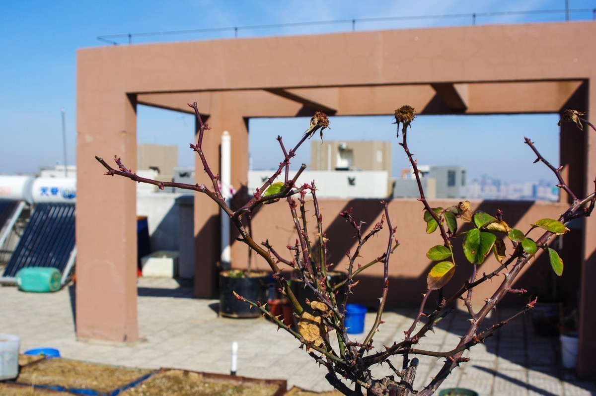 疫情期间郑州的蓝天白云