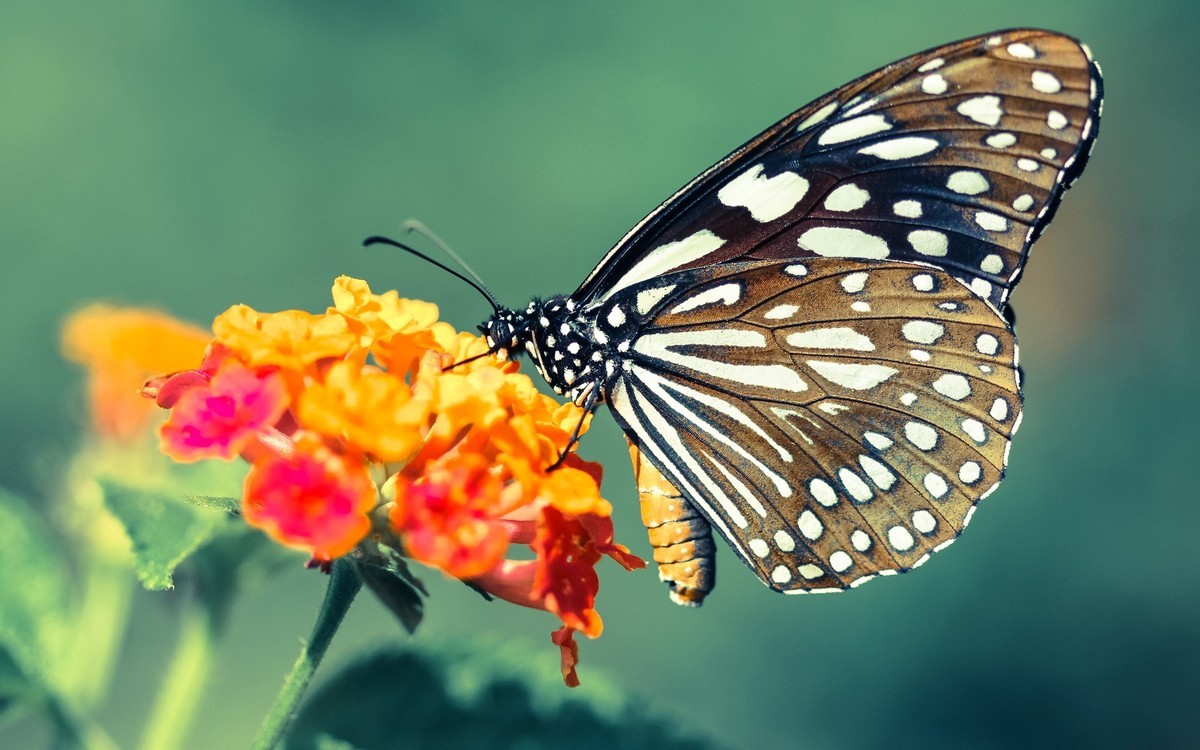 图片要给懂得欣赏的人，才会体现出它的美。