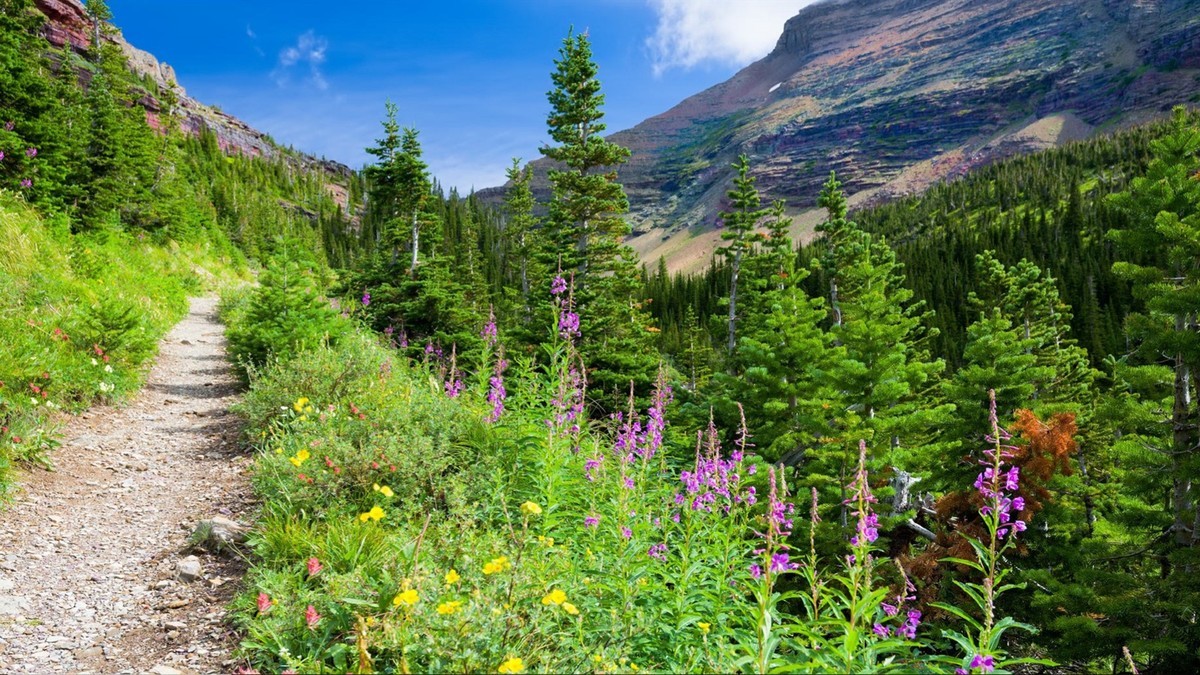 图片要给懂得欣赏的人，才会体现出它的美。