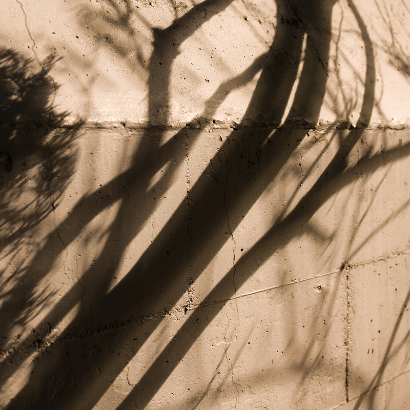 世界并非都有阳光