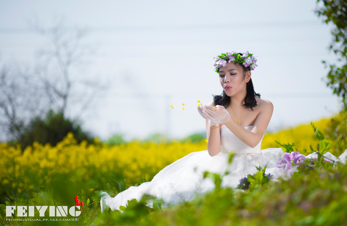 镜头下发现你想象不到的美