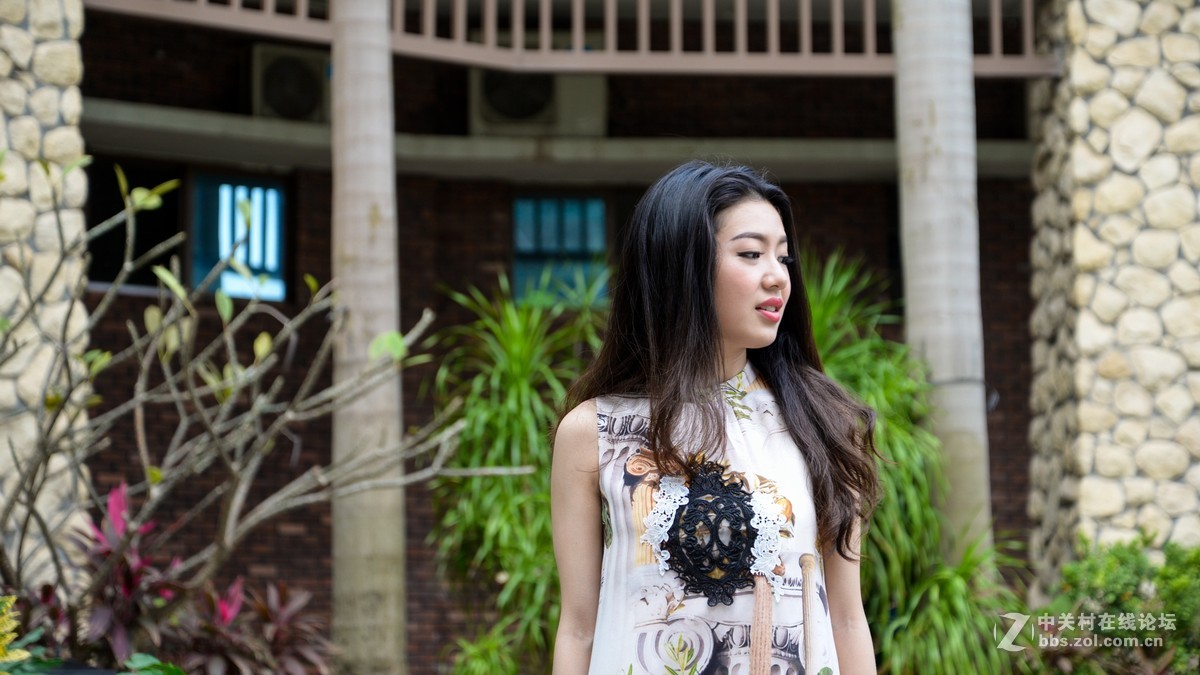 群摄中.............