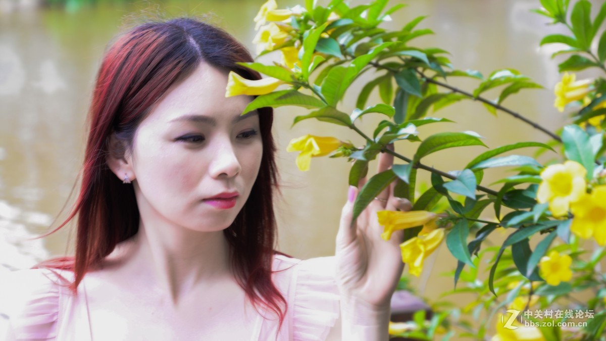 群摄中.............