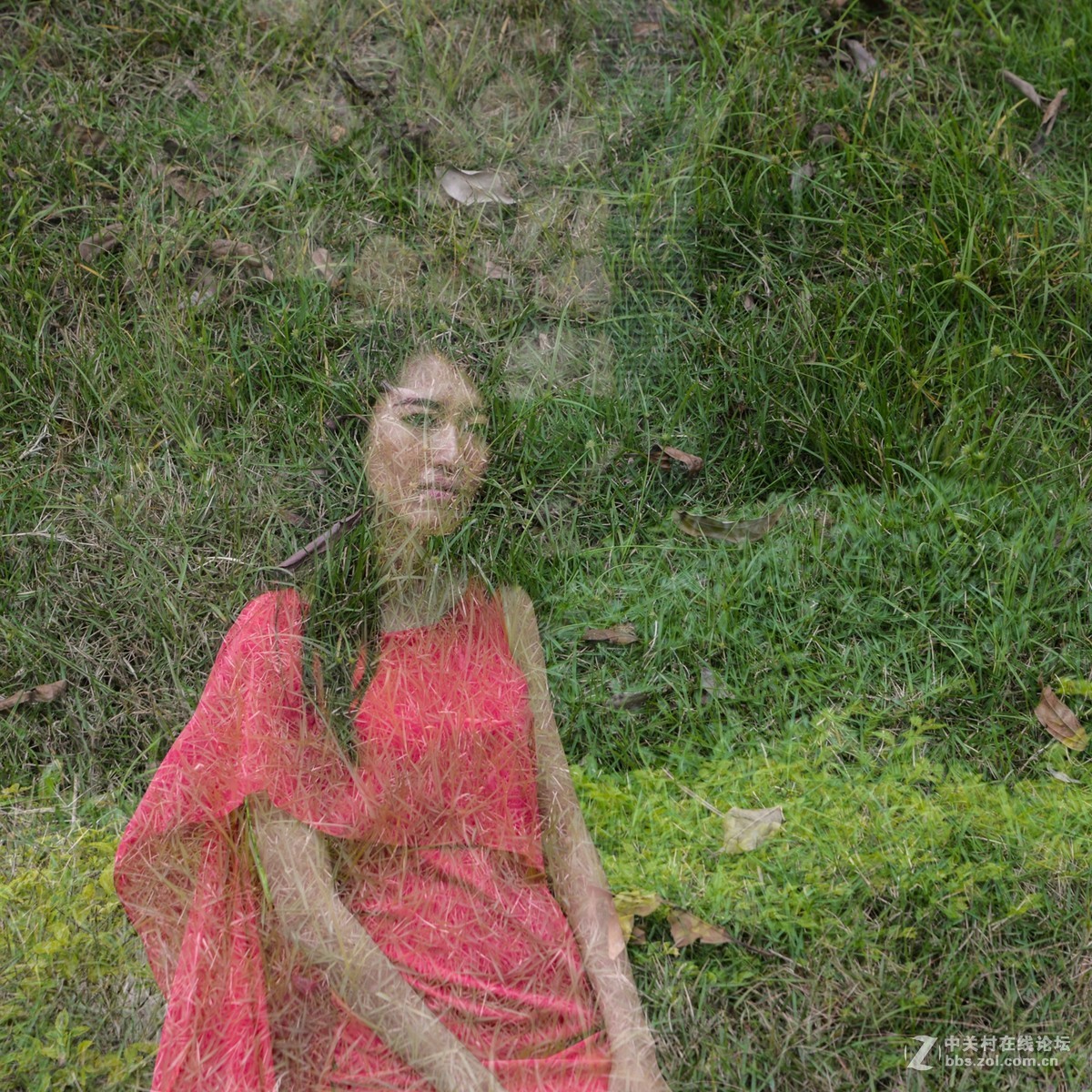 群摄中.............