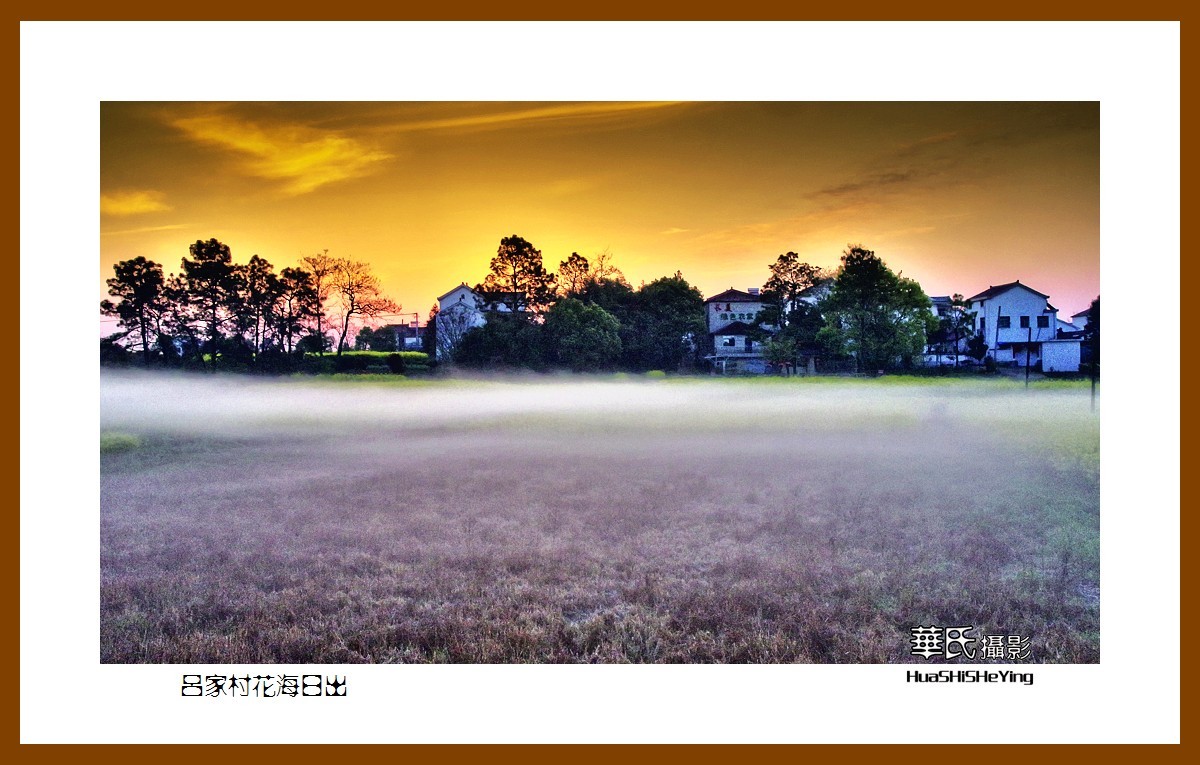 慢游慢城——吕家村花海日出（江苏省南京市高淳区桠溪镇）