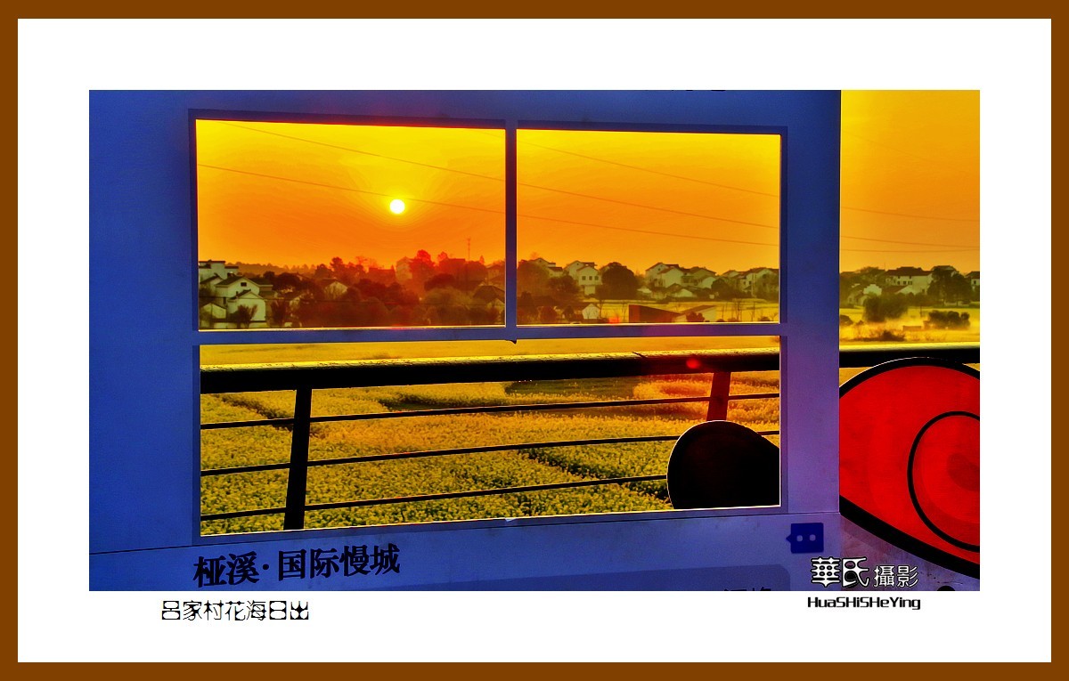 慢游慢城——吕家村花海日出（江苏省南京市高淳区桠溪镇）
