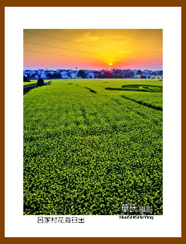 慢游慢城——吕家村花海日出（江苏省南京市高淳区桠溪镇）